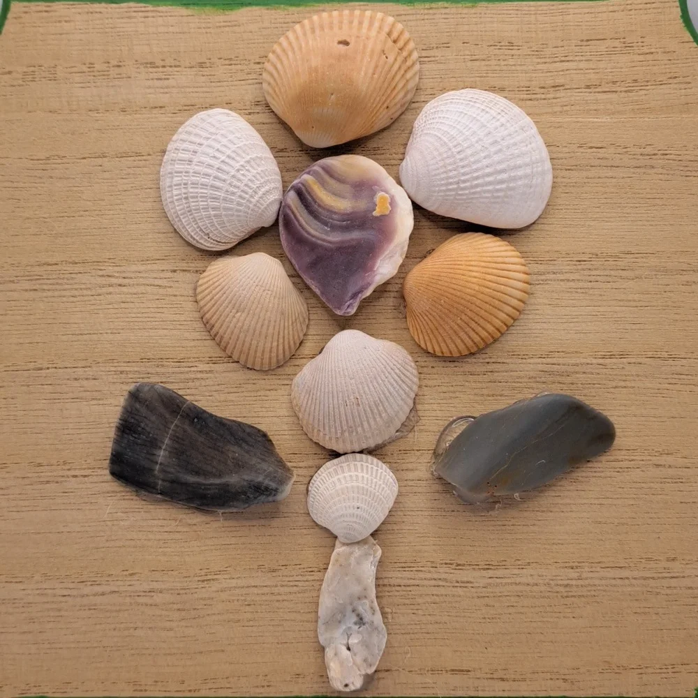 Handmade Flower Seashell Decor